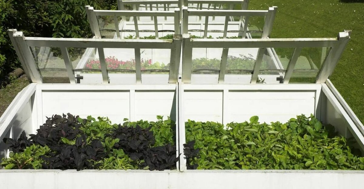 Изображение взято из открытых источников