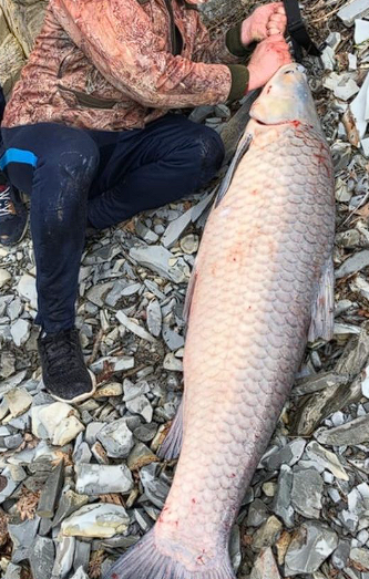 Отчет с озера Абрау. Амур