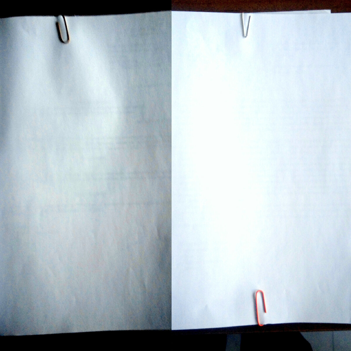 Закрытые листами А4 материалы проверки. Фото ®Лачков Виталий