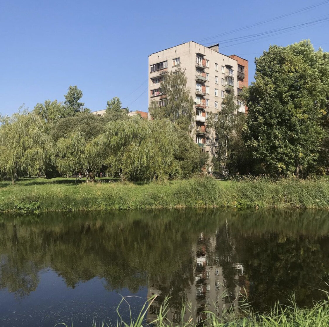 у парка «Александрино» на пр. Ветеранов