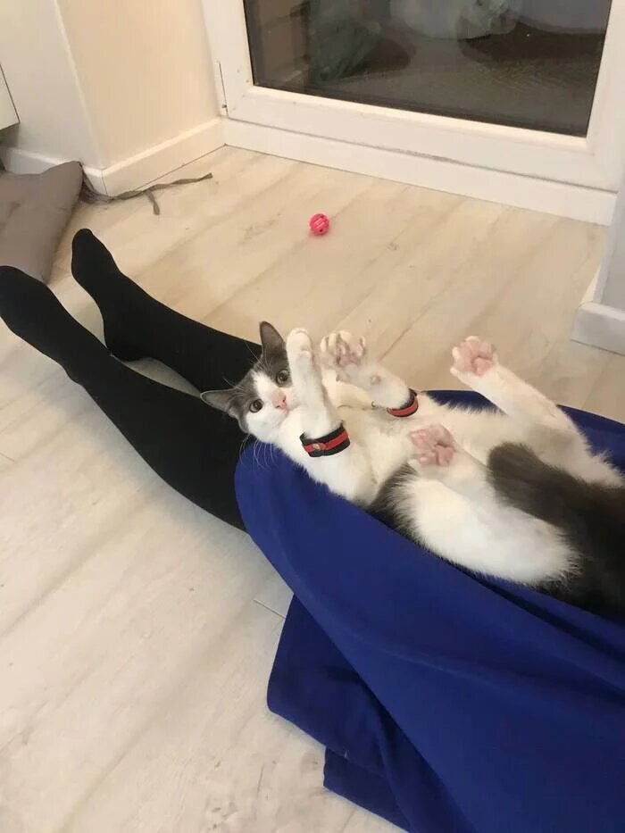 -2