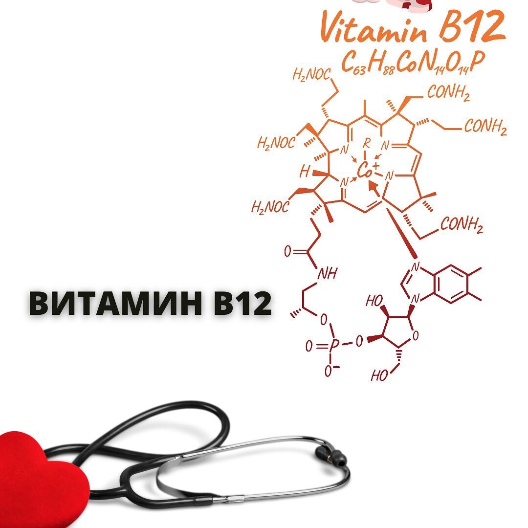 Витамин B12. Очень важный витамин, о котором нужно знать каждому! |  ЭНДОКРИНОЛОГ МАРИНА БЕРКОВСКАЯ | Дзен