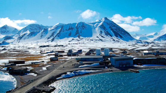    СМИ: власти Шпицбергена мешают съемке фильма с Томом Крузом, опасаясь за местную фауну Алина Городниченко