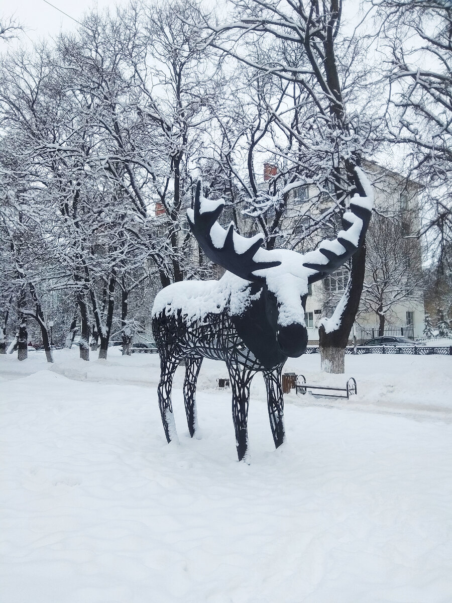 фото автора/Лось - символ города Вологды