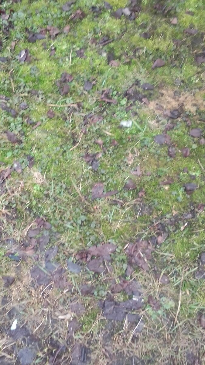 Фото сила - в знаниях