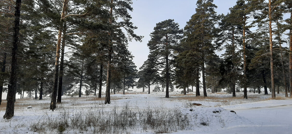 Ассоциация состояния восприятия реальности!