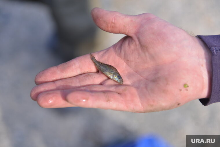    Многие из челябинских озер подходят для рыбалки