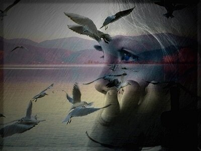 фото из интернета