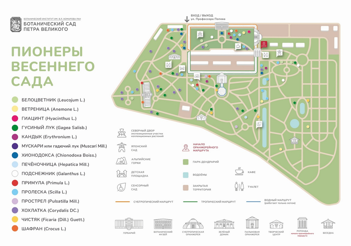 Ботанический сад на карте спб. Схема ботанического сада РАН. Ботанический сад Петра Великого схема. Ботанический сад Петра Великого в Санкт-Петербурге на карте. Парк-Дендрарий ботанического сада СПБ.