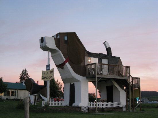 Отель The Dog Bark Park Inn