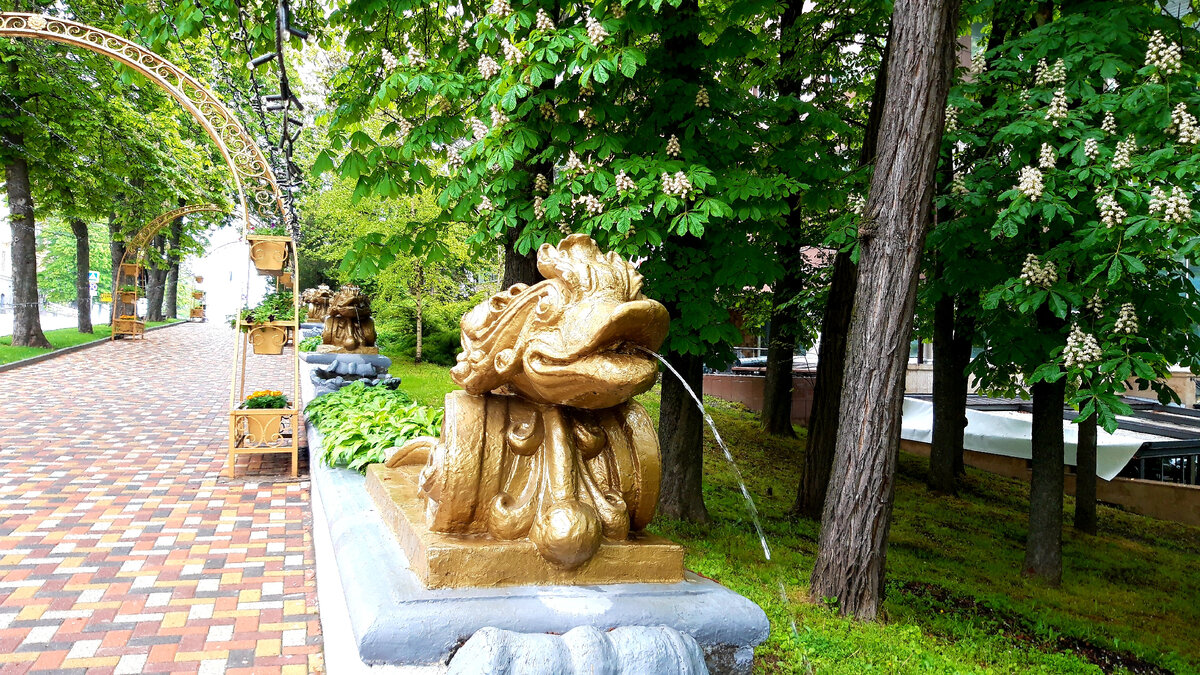 г. Ставрополь, пр. Октябрьской революции, фото автора 