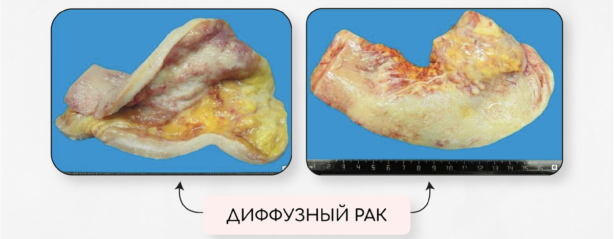 Вы точно человек?