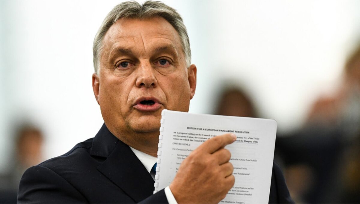 все изображения из открытых источников яндекс картинки. 