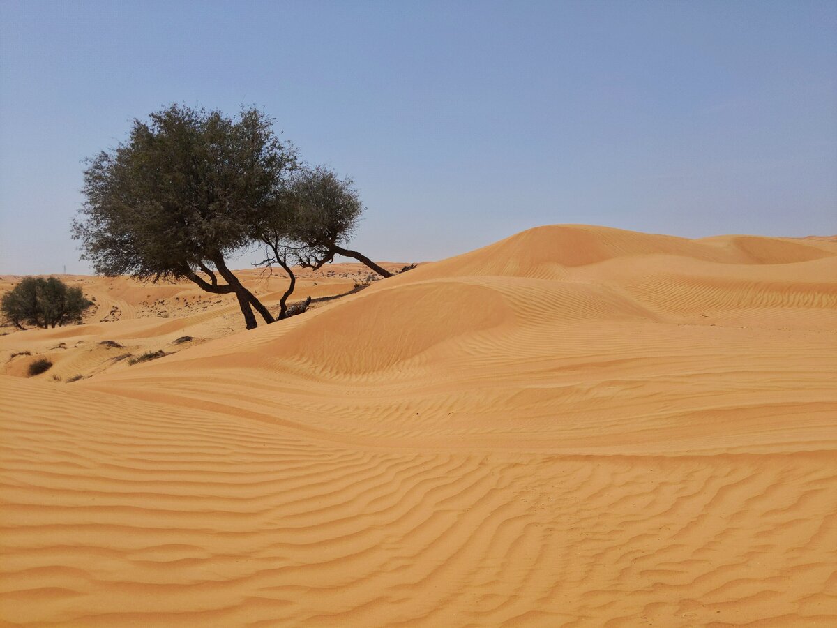 Конечно, это не Санкт-Петербург, но в Эмиратах тоже жарко