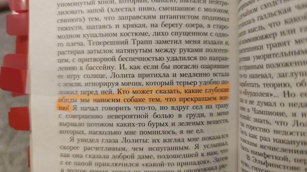 Не просто закладки (их штук 15), еще и выделены самые разные цитаты. 