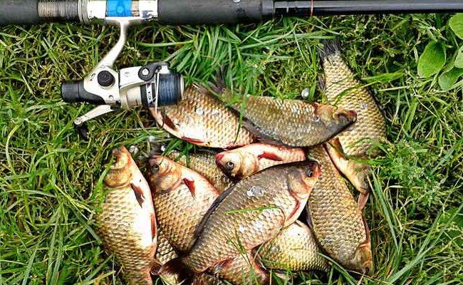 Фото из интернета.