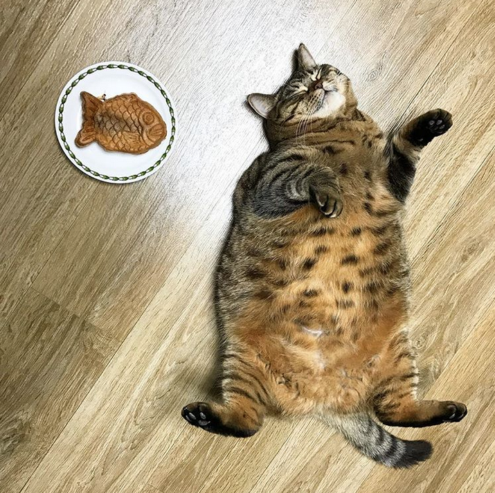 Картинка из интернета 