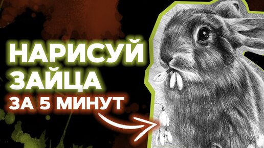 Как нарисовать кролика поэтапно – легкий урок