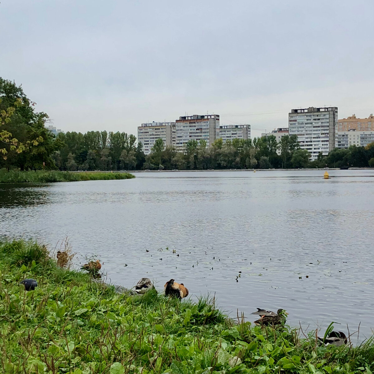 Фото головинские пруды