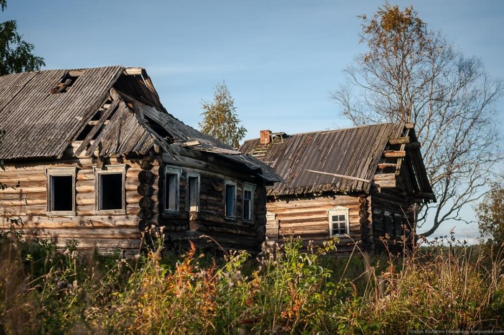 фото из свободного доступа.