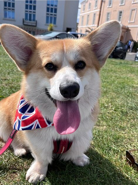 Источник фотографий: dailymail.co.uk