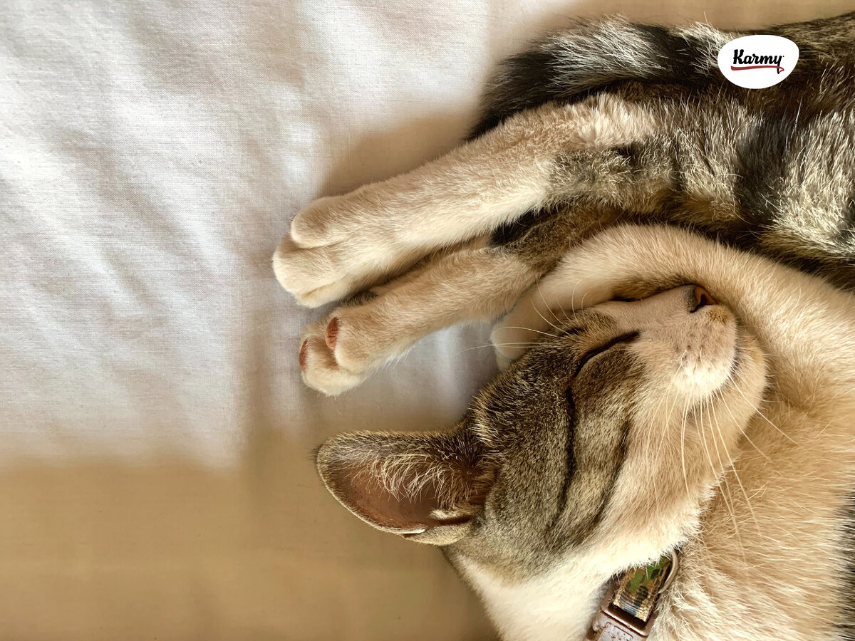 Авторское изображение с использованием картинки с фотостока "Unsplash"