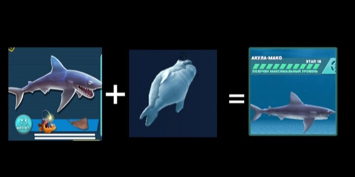 Скачать Hungry Shark Evolution (MOD, много денег) 11.0.2 бесплатно на андроид