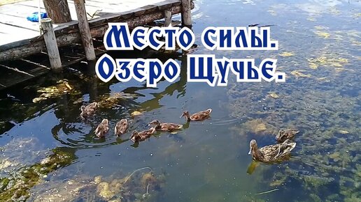 Место силы. Озеро Щучье.