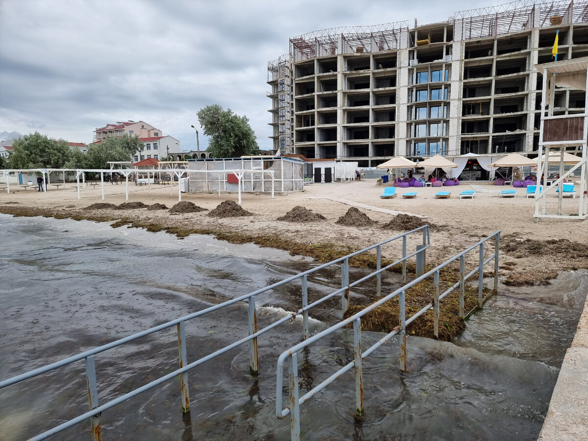 Вот сколько водорослей и грязи прибило штормом к берегу