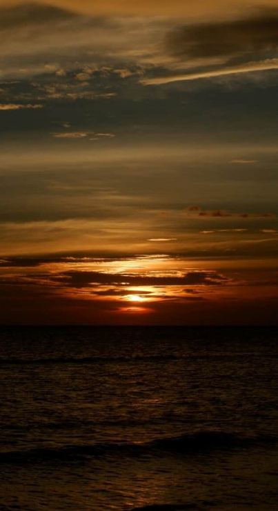 картинка взята из интернета.