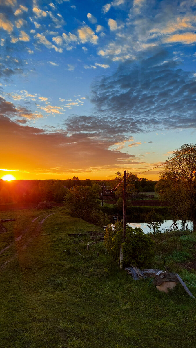 Фото автора.