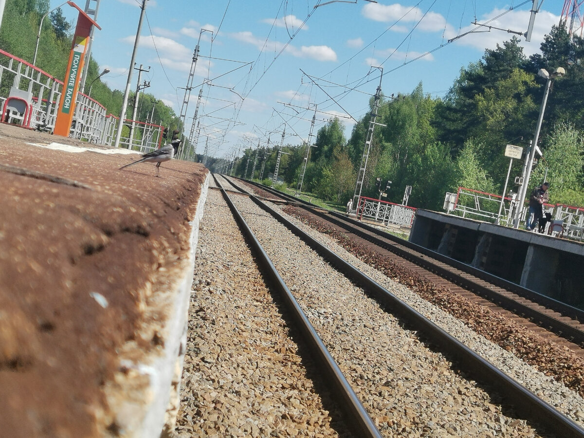 Одна из моих любимых фотографий