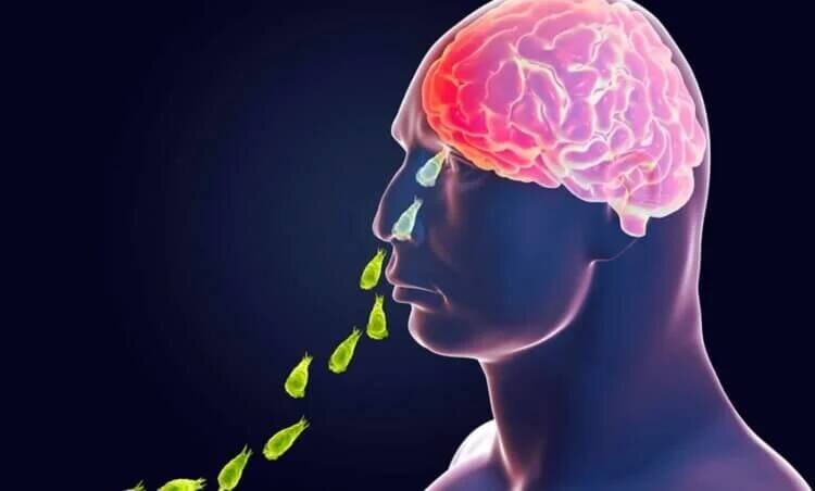 В некоторых озерах живут паразиты, которые способны разрушить мозг