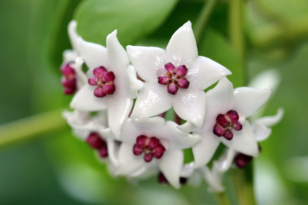 фото из интернета