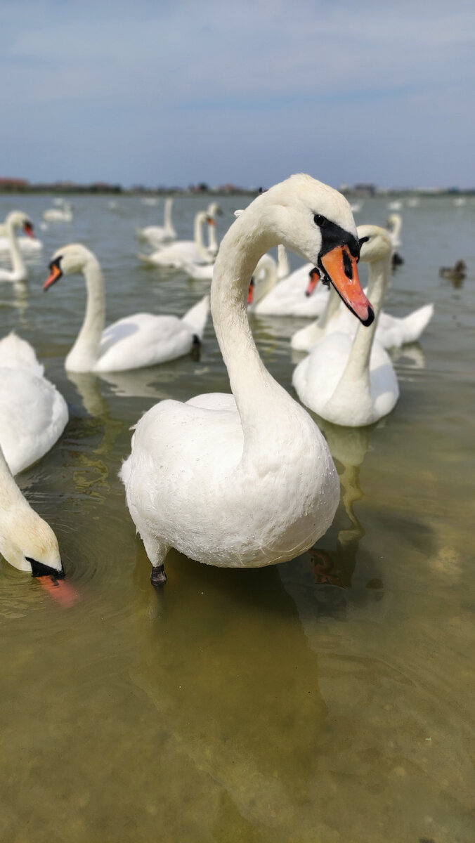 Экскурсии с @onecrimea вы запомните навсегда!