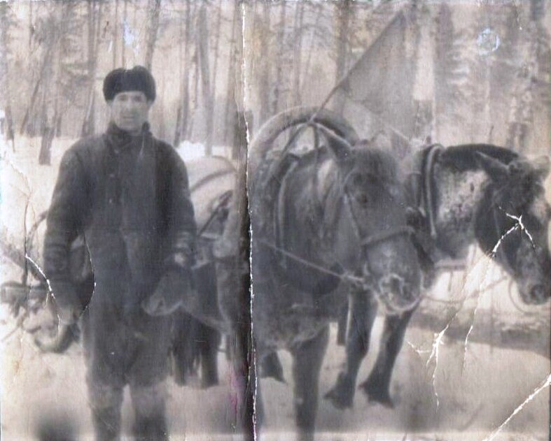 На конной тяге