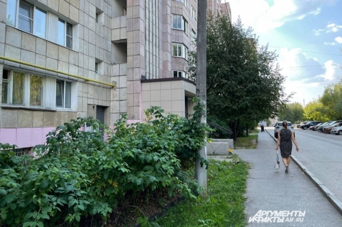    Дом, в котором находится квартира обвиняемой в Перми.