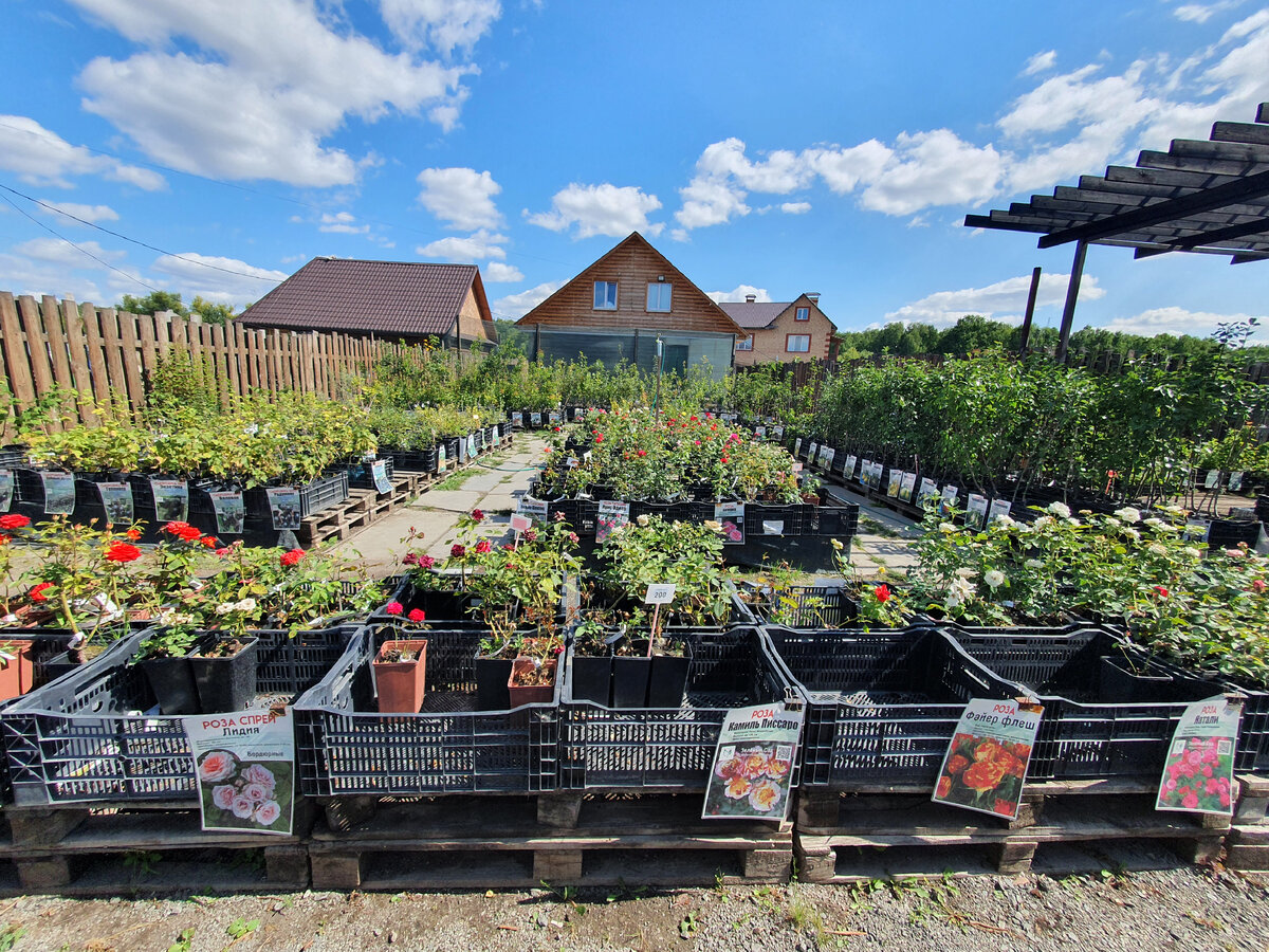 Торговая зона