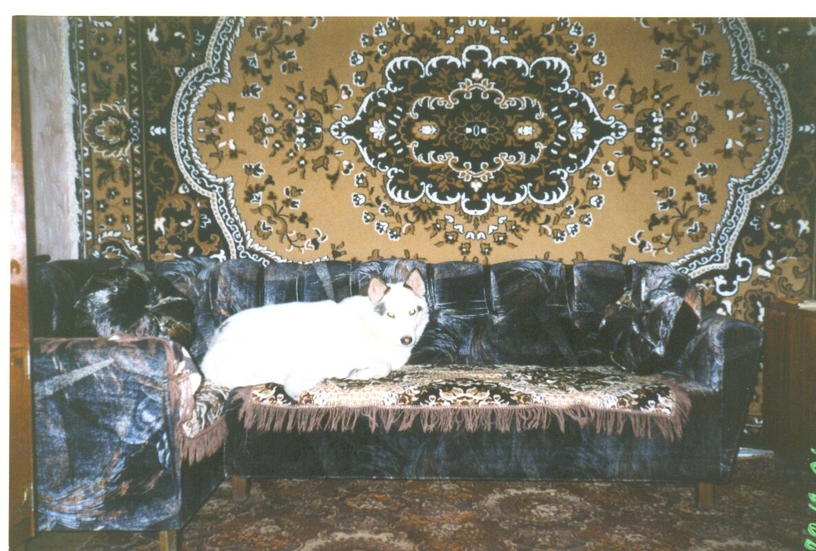 С тех пор стались только вот такие сканы фотографий Бима