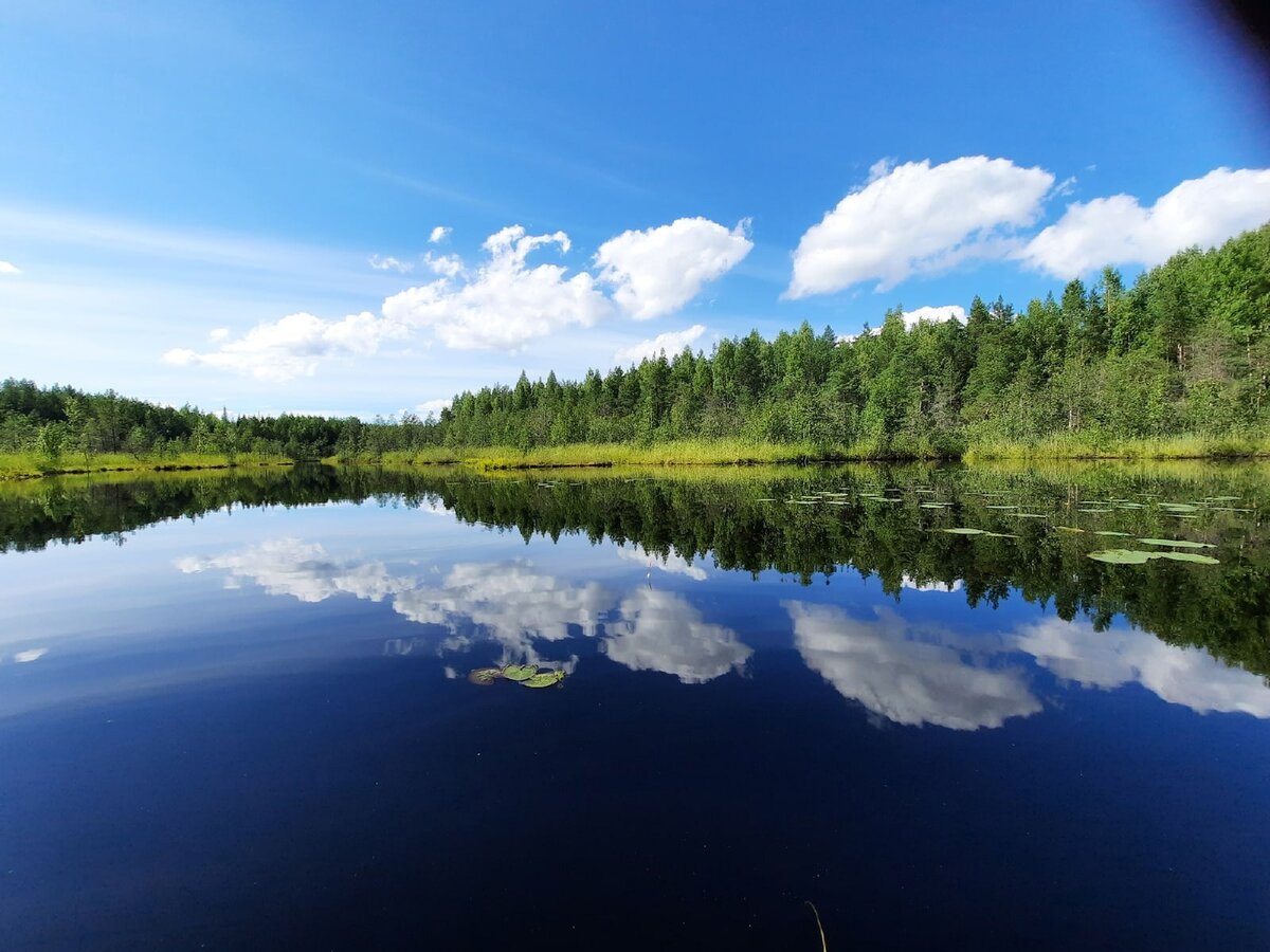 Архангельская область