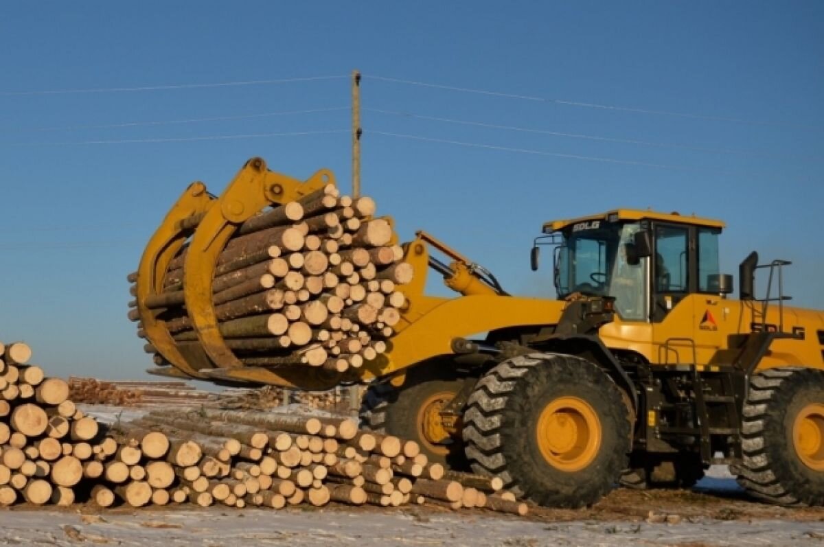    На 7% выросли доходы Свердловской области от использования лесов