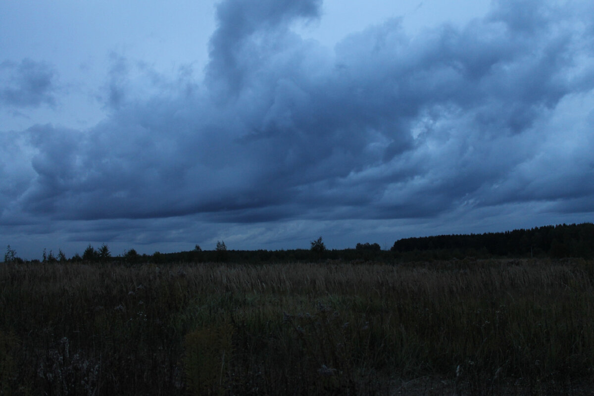 Синий пейзаж. Фото на полупрофессиональный фотоаппарат в режиме авто.