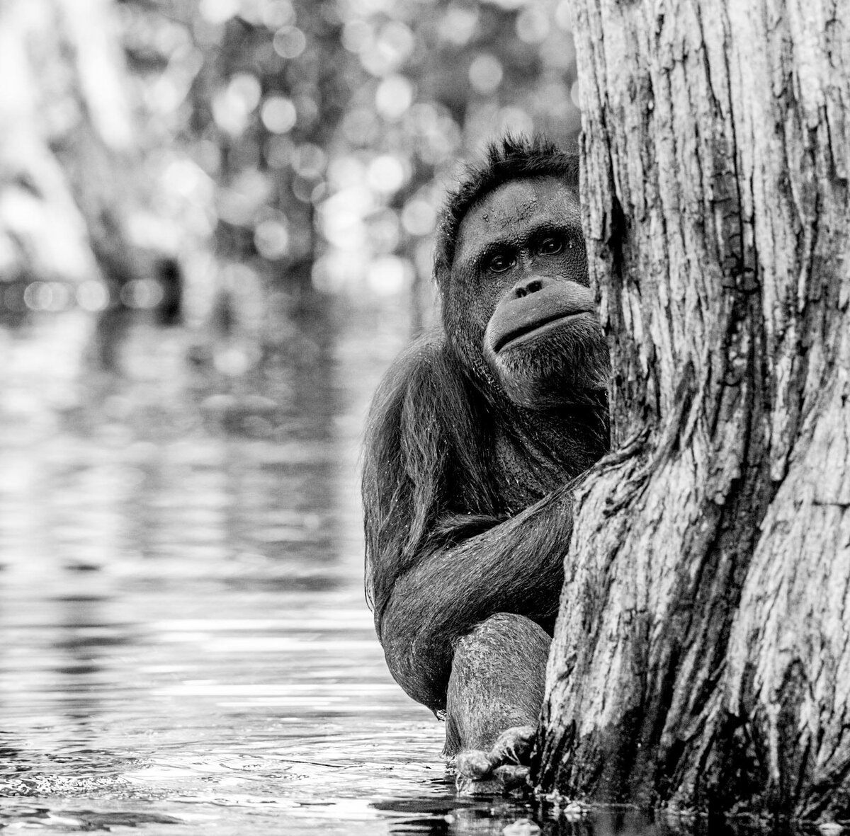  David Yarrow Photography /    / * 1966  (      )