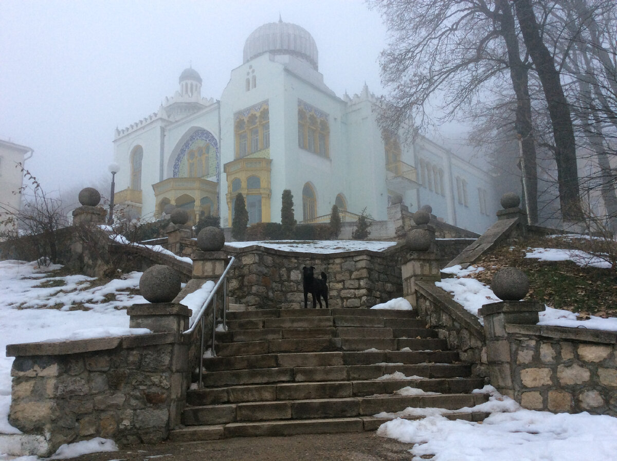 Вид с горы железной Железноводск зимой