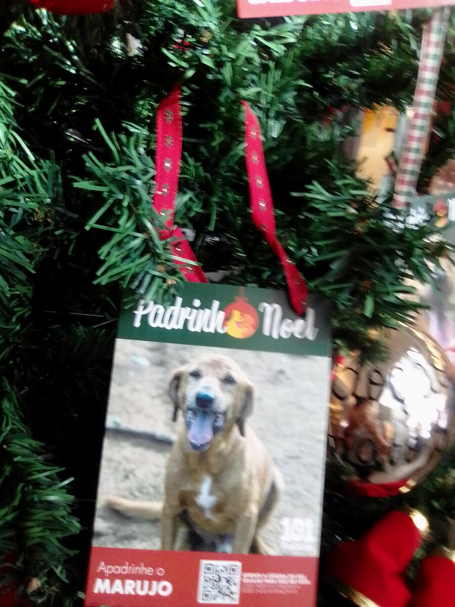 Можно выбрать друга по душе