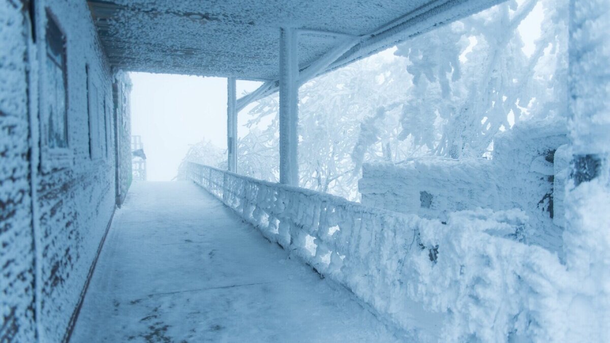     Смотрите коллекцию декабрьских фотографий края от местных жителей в подборке NewsTracker.