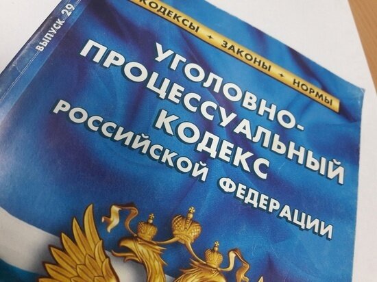     Фото: УТ МВД РФ по УРФО