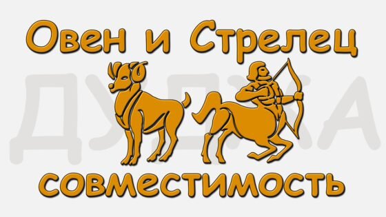 Стрелец или рыбы. Женщина стрелец мужчина телец. Дракон стикер. Мужчина стрелец и дракон совместимость. Мужчина стрелец и дракон совместимость.