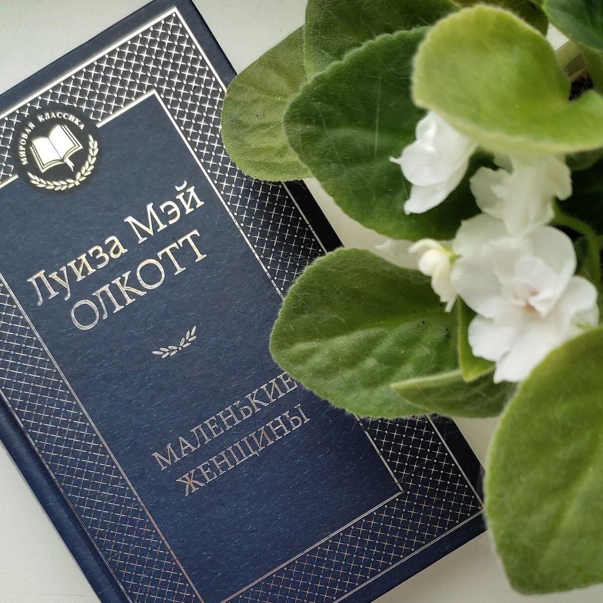 Луиза Мэй Олкотт "Маленькие женщины"