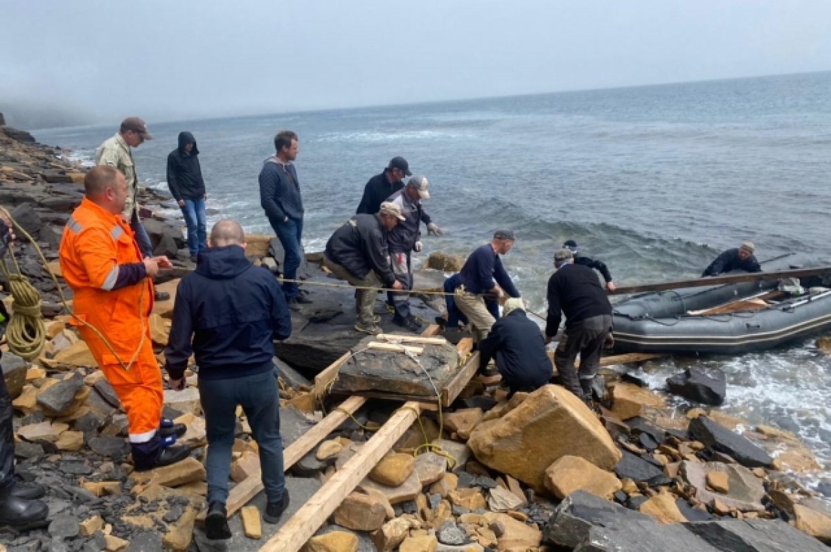    В Приморском крае изучат останки ихтиозавра возрастом 230 млн лет